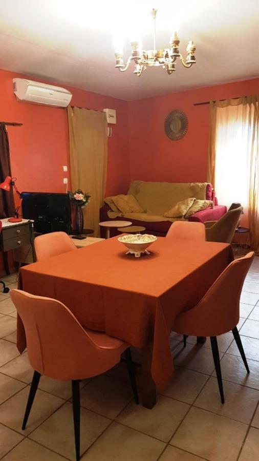Petit Patio En Centre Ville Nîmes Dış mekan fotoğraf