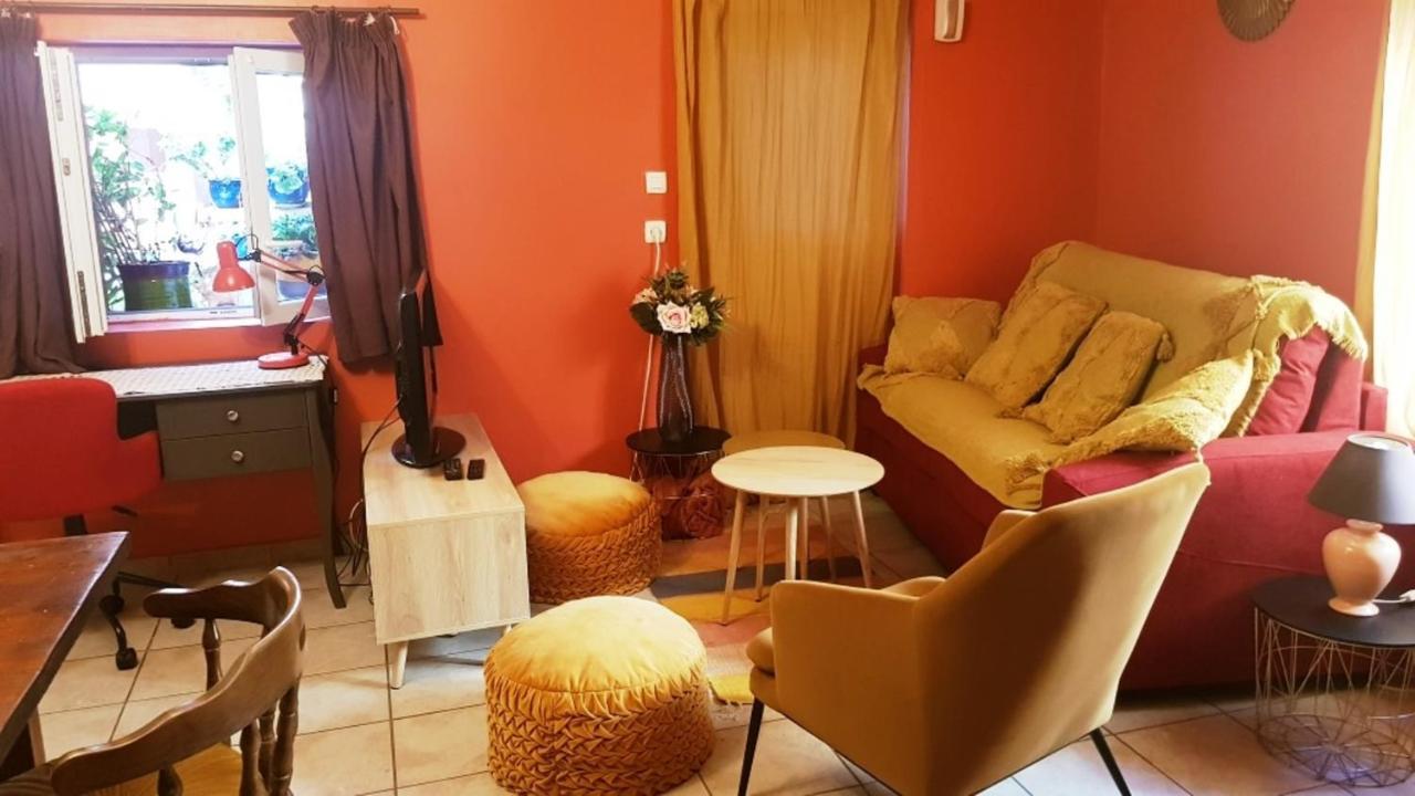 Petit Patio En Centre Ville Nîmes Dış mekan fotoğraf
