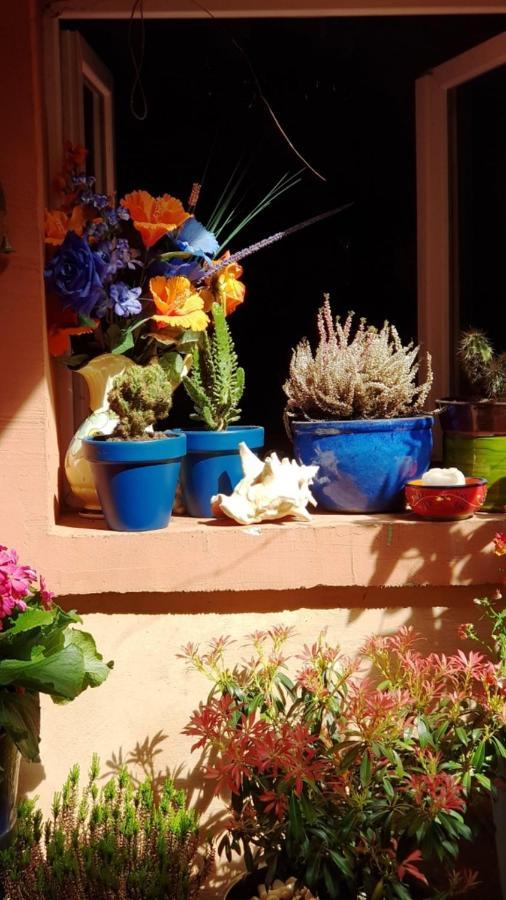 Petit Patio En Centre Ville Nîmes Dış mekan fotoğraf