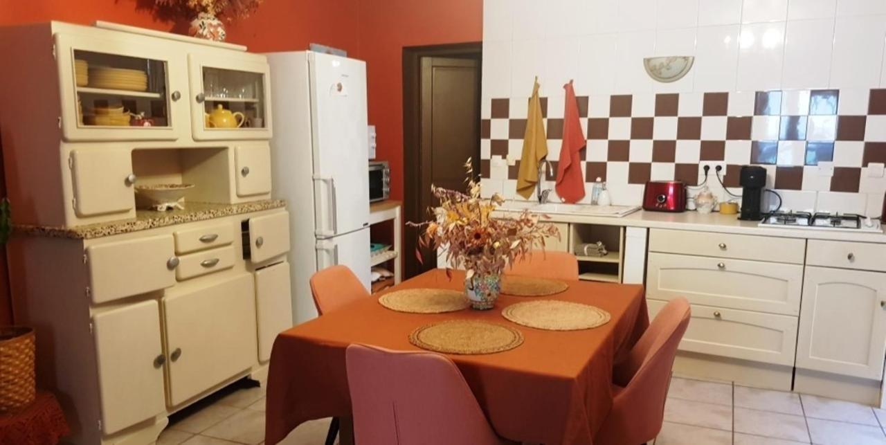 Petit Patio En Centre Ville Nîmes Dış mekan fotoğraf